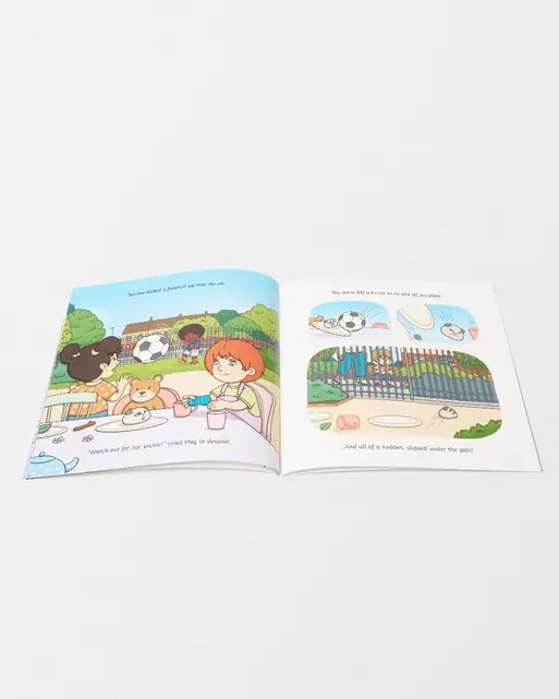 The Grumpy Old Stone Book (Twinkl)
