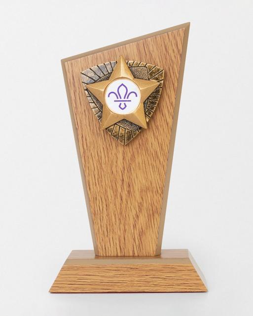 Wooden Star Trophy with Fleur de Lis Scouts Logo