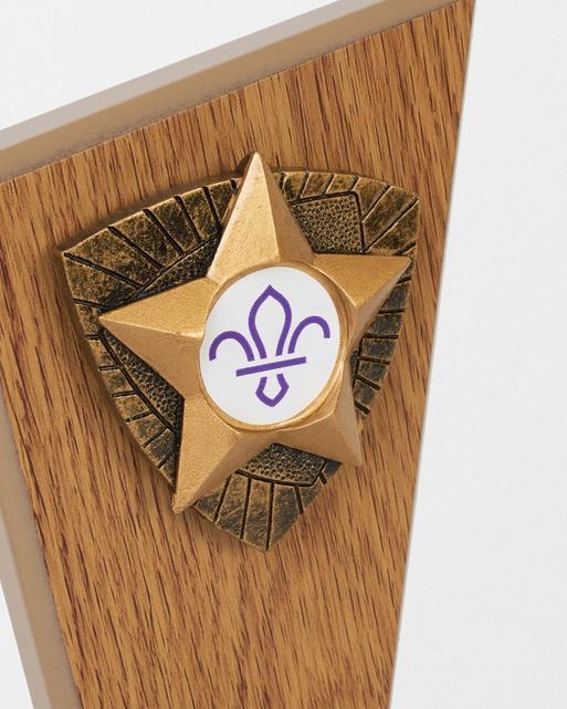 Wooden Star Trophy with Fleur de Lis Scouts Logo