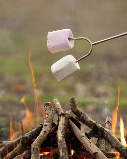 Extendable Marshmallow Toasting Fork