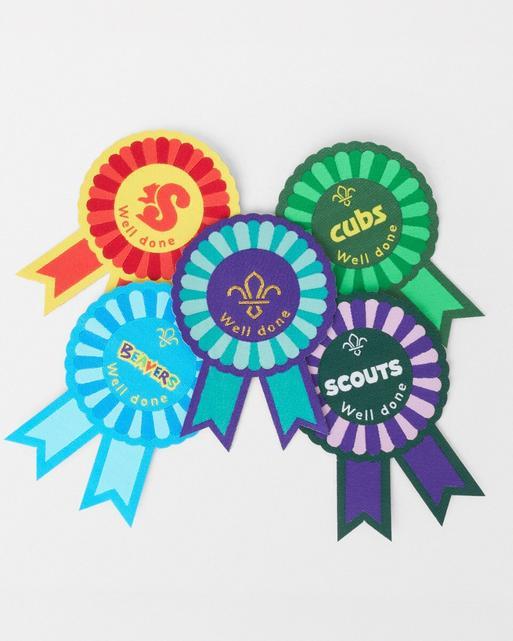 Beavers Well Done Blanket Badge 