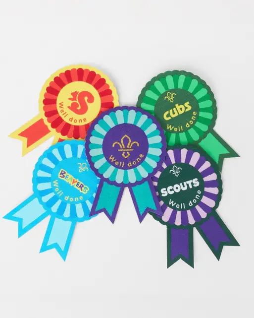 Scouts Well Done  Blanket Badge