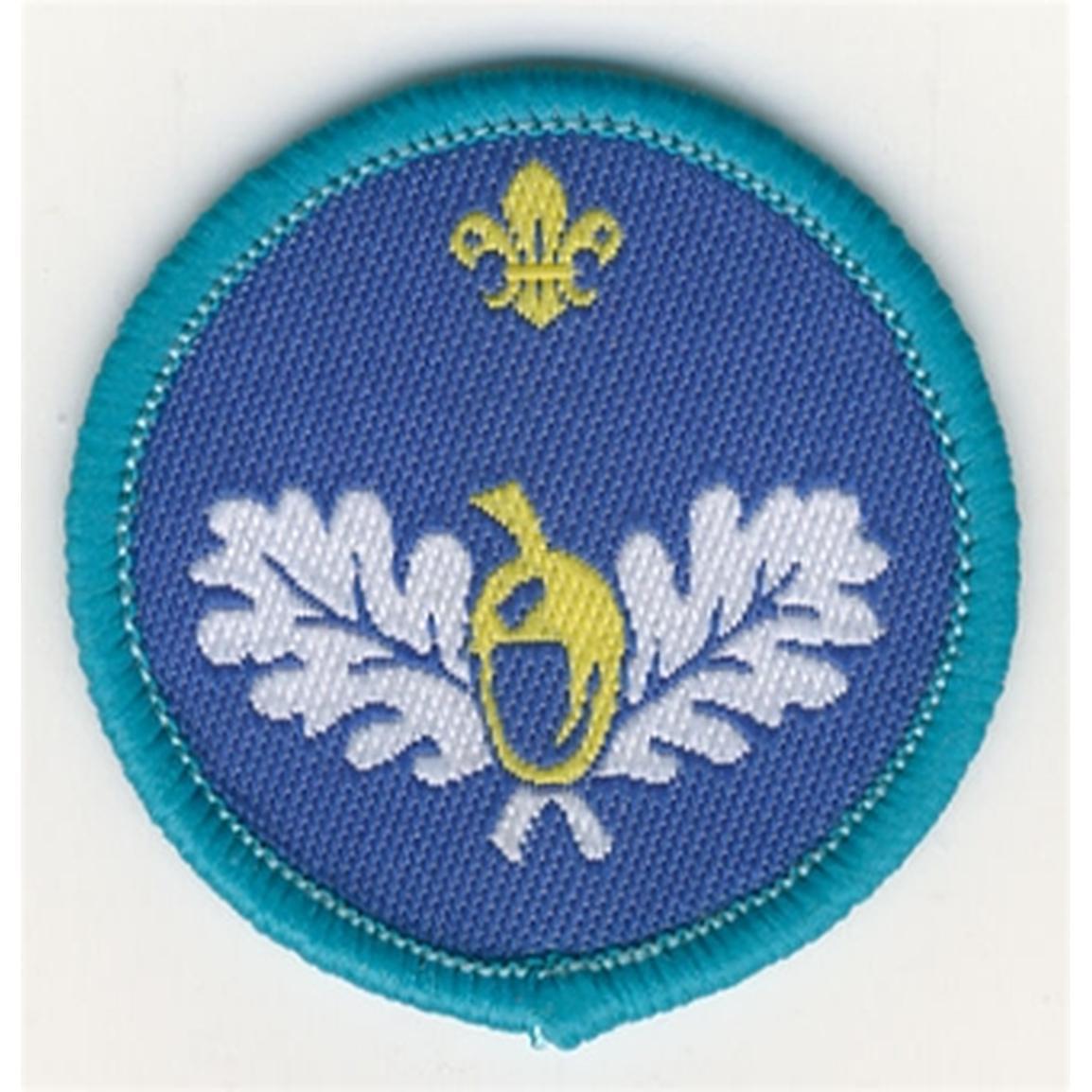 Explorer Scout Naturalist Activity Badge Volunteer Leaders