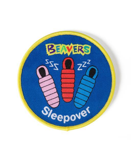 Beaver Scouts