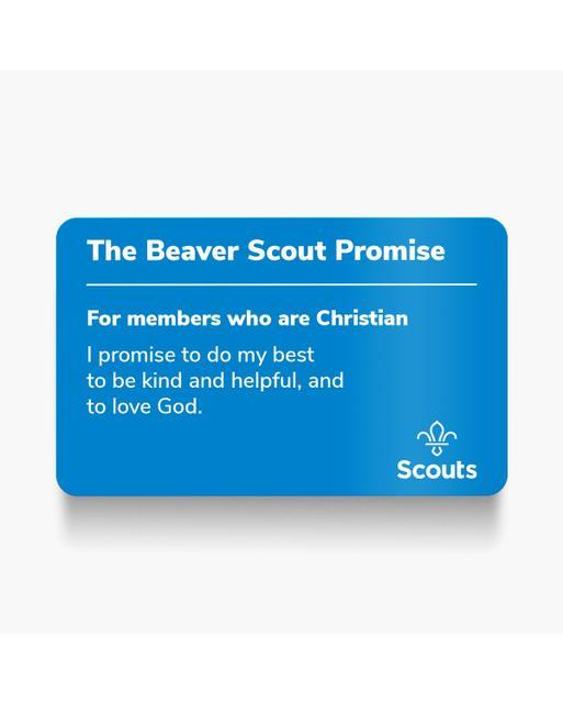 Beaver Scouts Resources