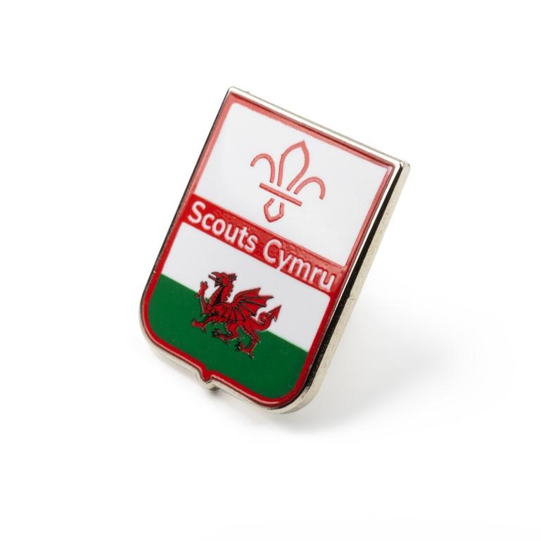 cymru-fleur-de-lis-scouts-pin-badge-new-in